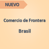 Declaración Importación Frontera