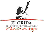 INTENDENCIA MUNICIAL DE FLORIDA